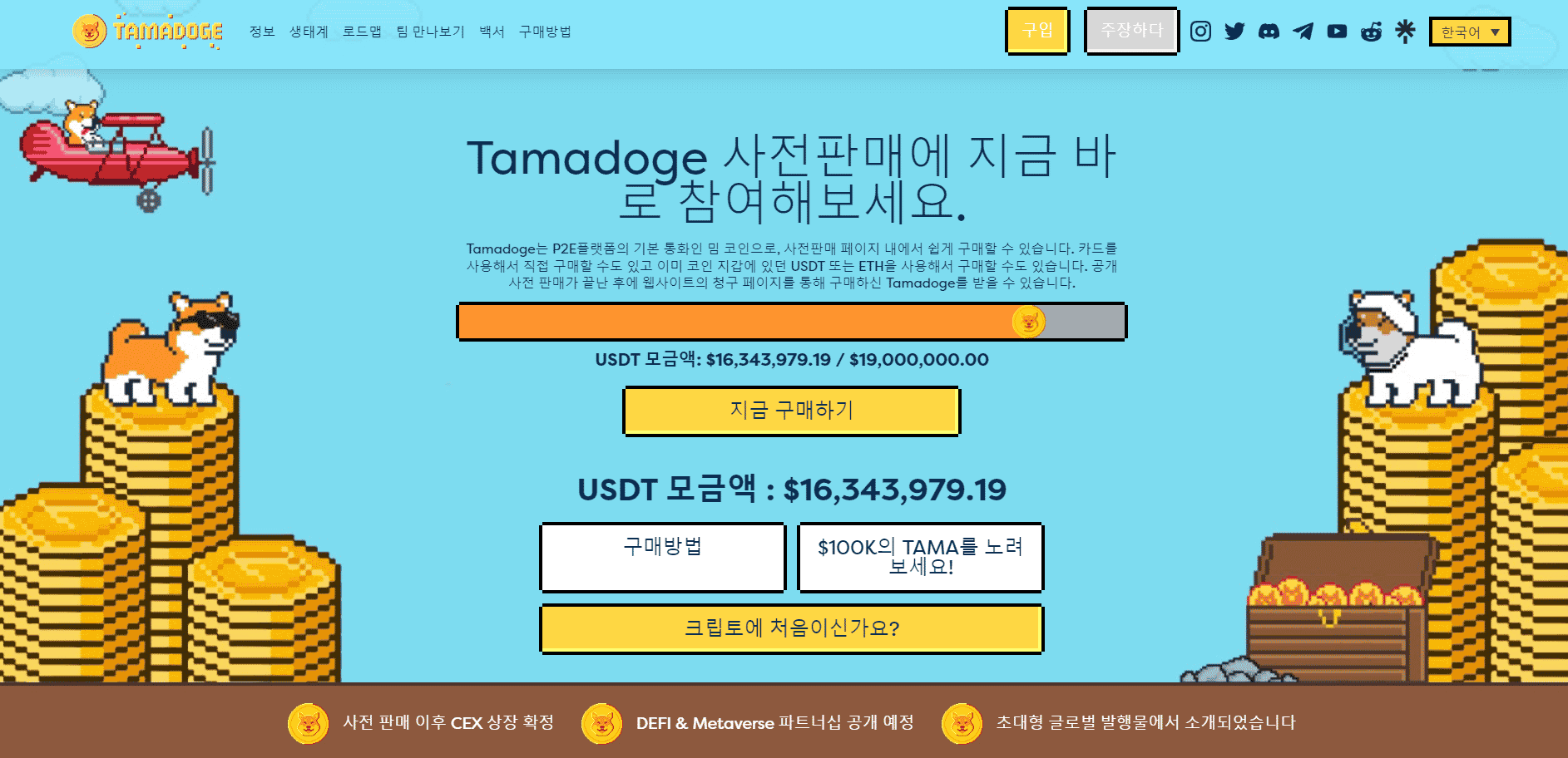 타마도지 사전 판매 메타버스 플랫폼