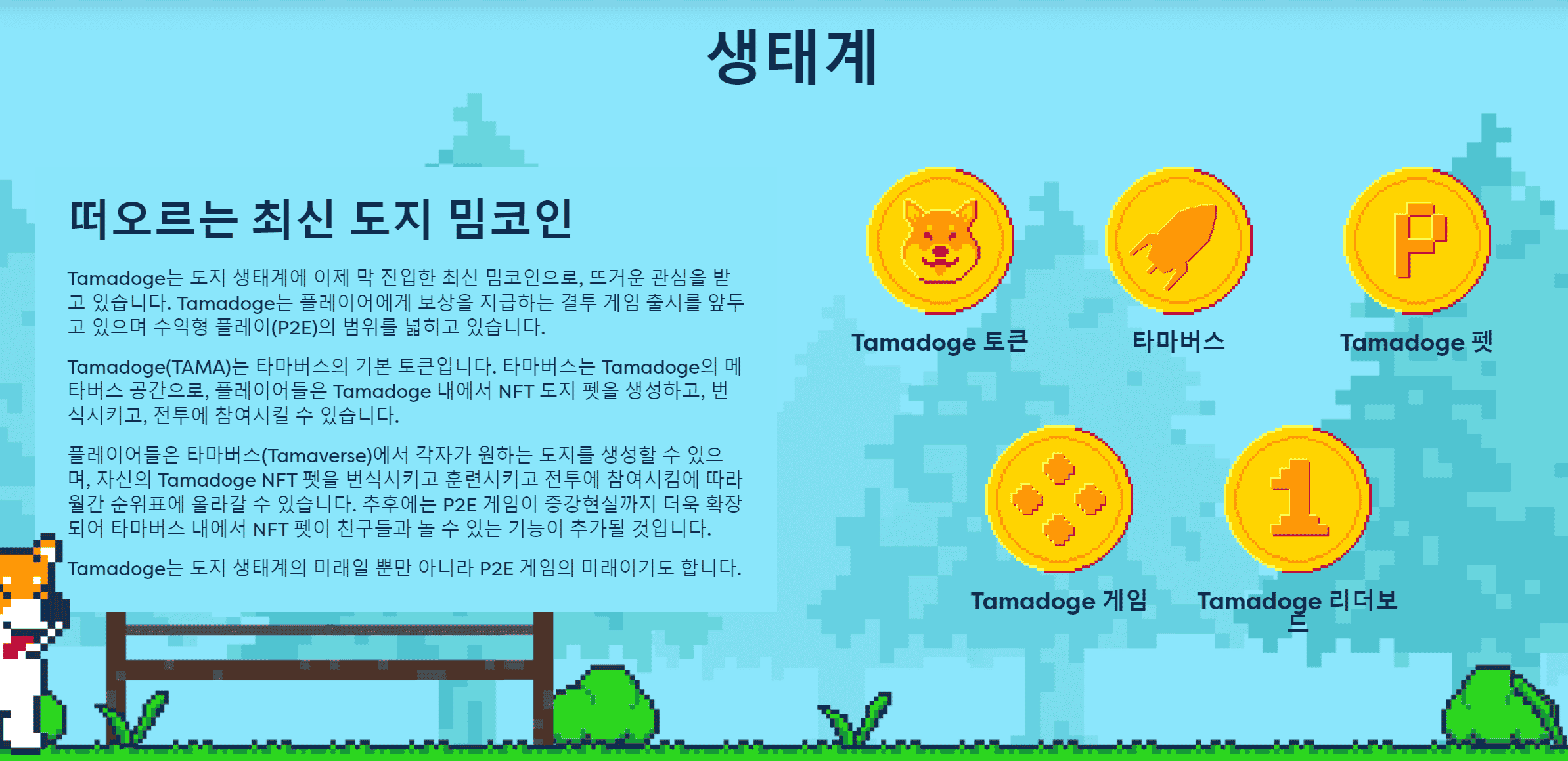 타마도지 생태계