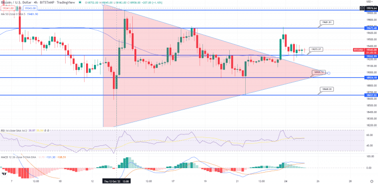 BTC 가격