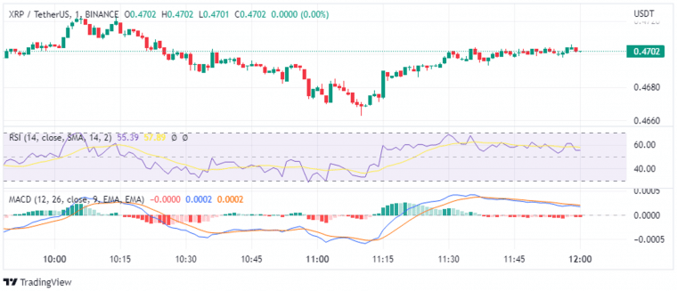 XRP 가격 차트