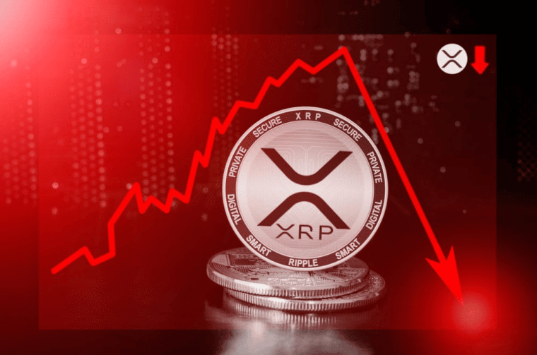 XRP 가격