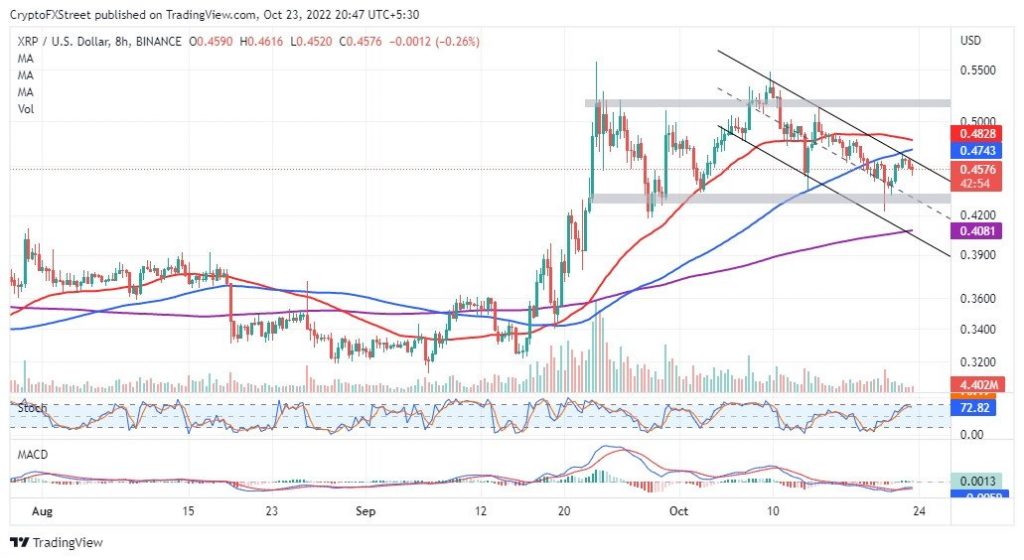 XRP 가격 차트