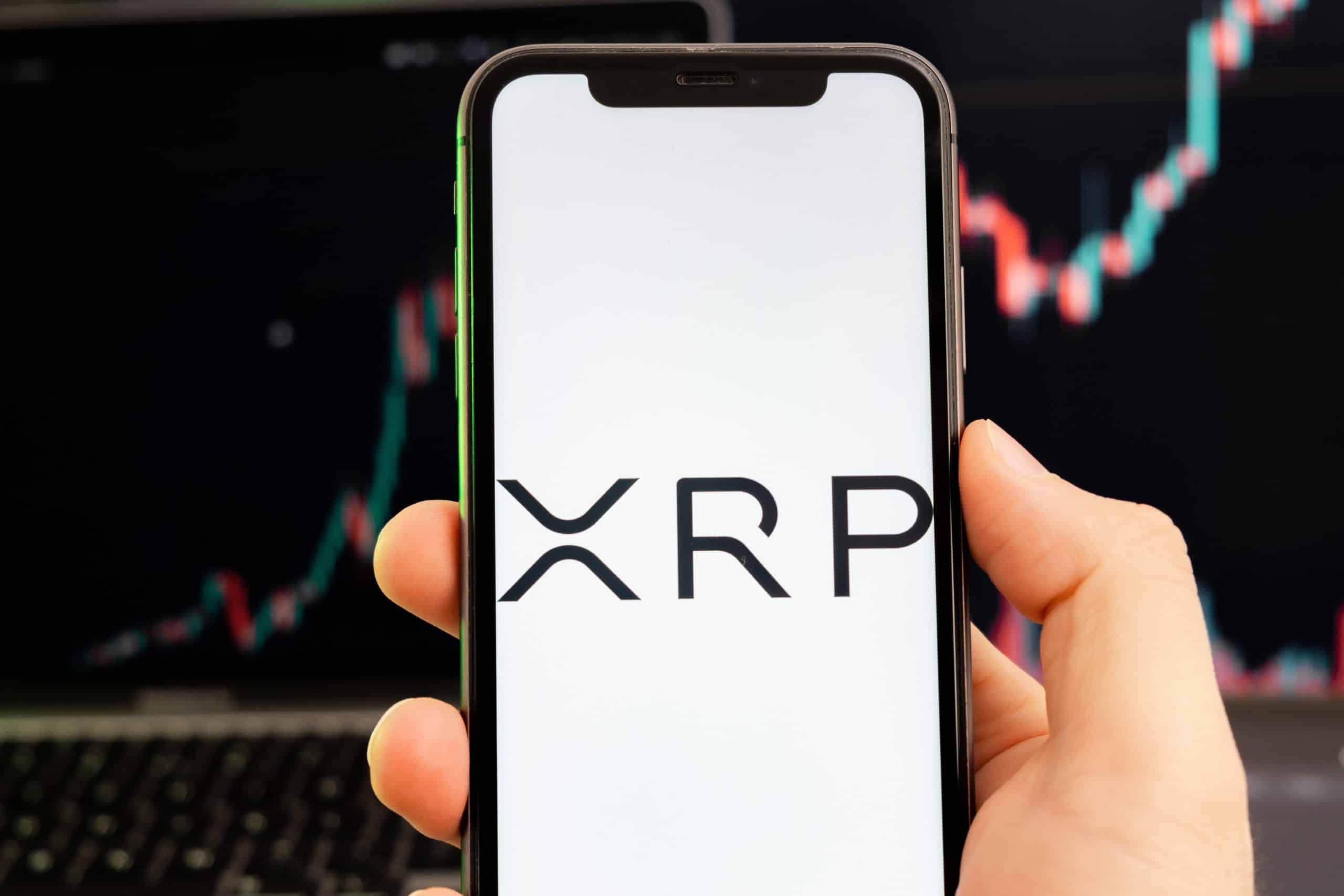 XRP 새로운 랠리