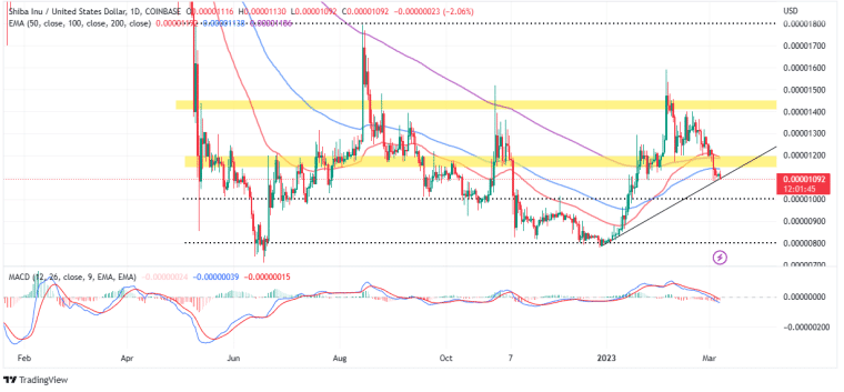 SHIB/USD 일일 차트