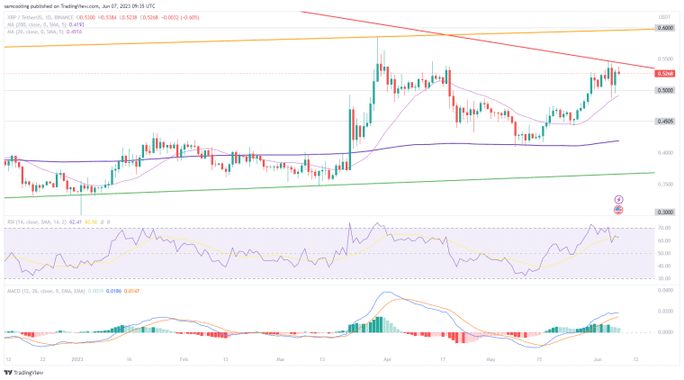 XRP 가격차트