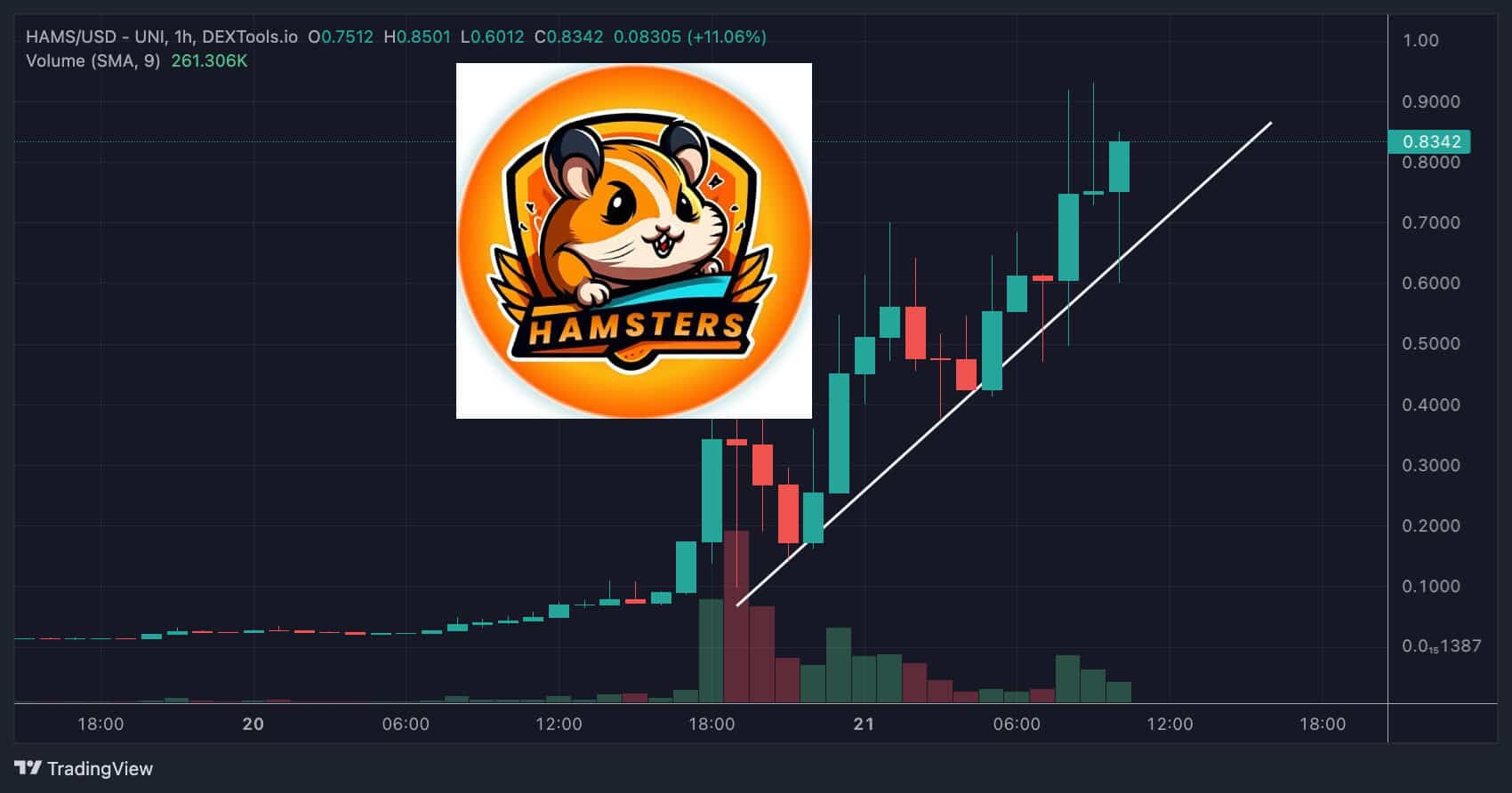 신규 밈코인 소개