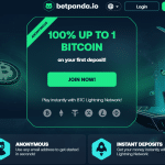 벳판다(Betpanda) 갤러리
