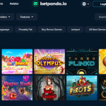 벳판다(Betpanda) 갤러리